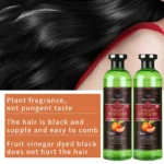 Fruit Vinegar Natural Hair Color Gel